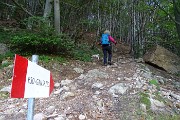 15 Salendo verso il Passo del Gandazzo in faggeta